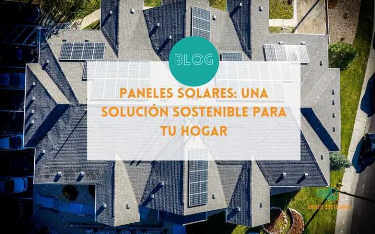 Paneles Solares: Una Solución Sostenible para tu Hogar
